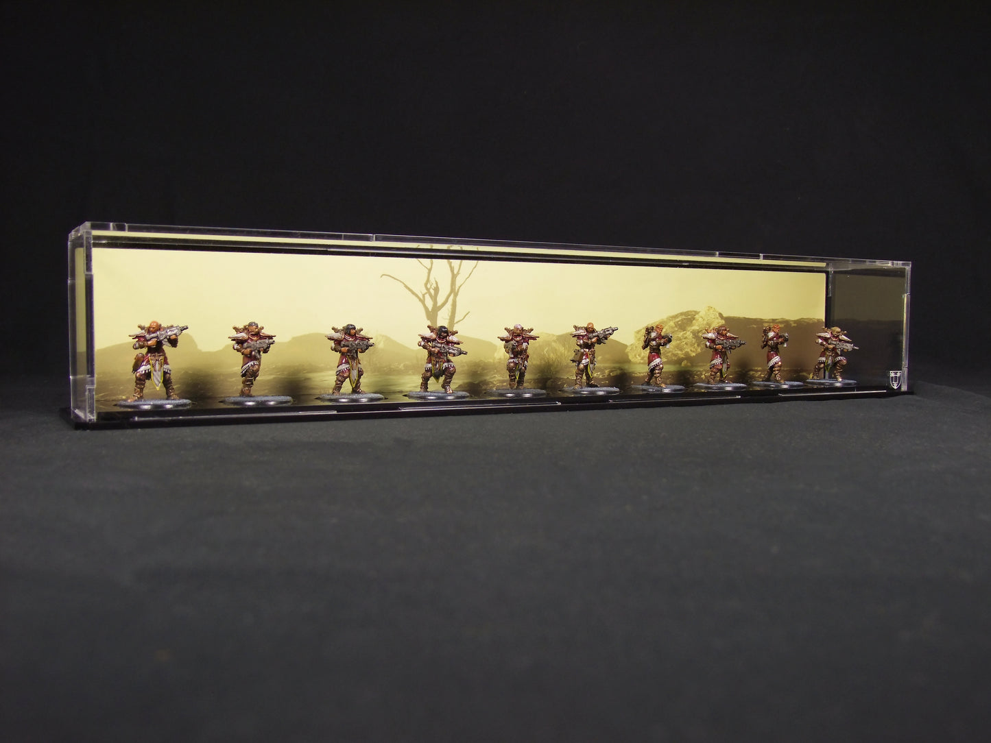 Display case for 10 x 32mm minifigs (Desert Background)