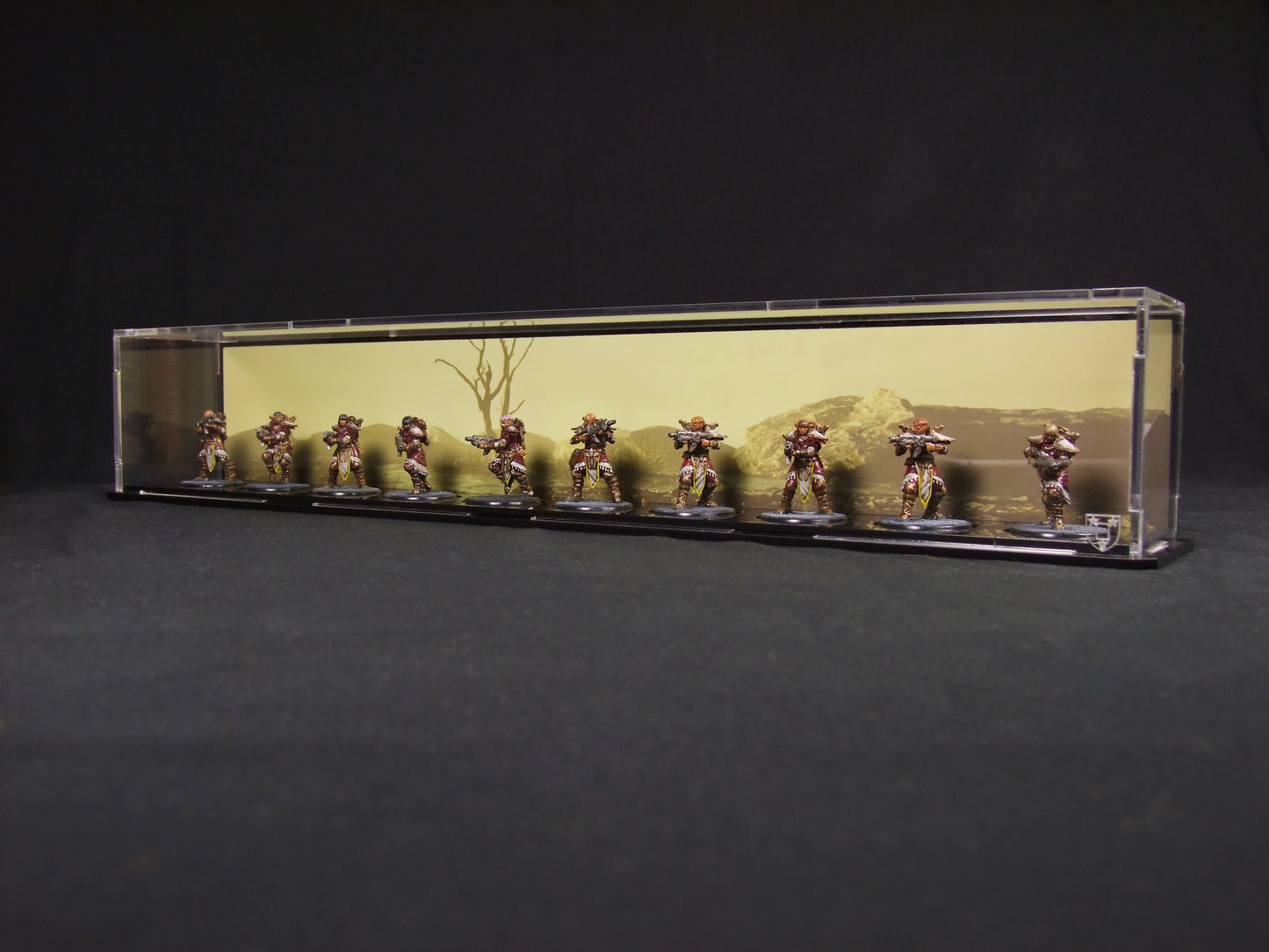 Display case for 10 x 32mm minifigs (Desert Background)