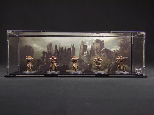 Display case for 5 x 32mm minifigs