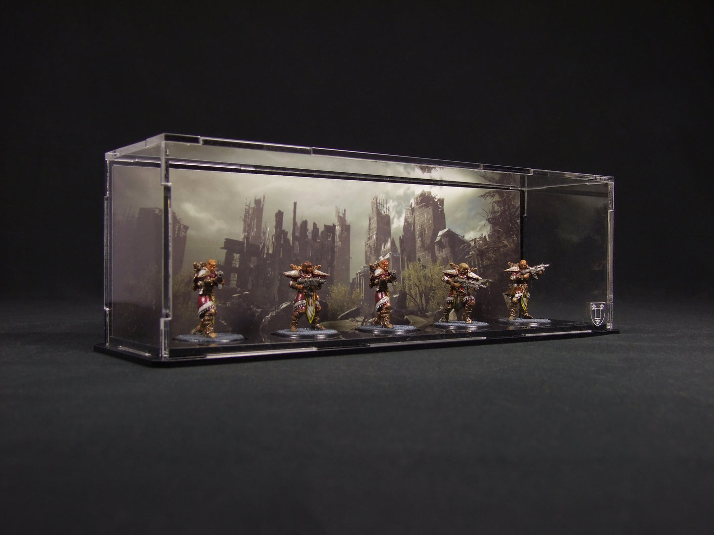 Display case 255x63mm